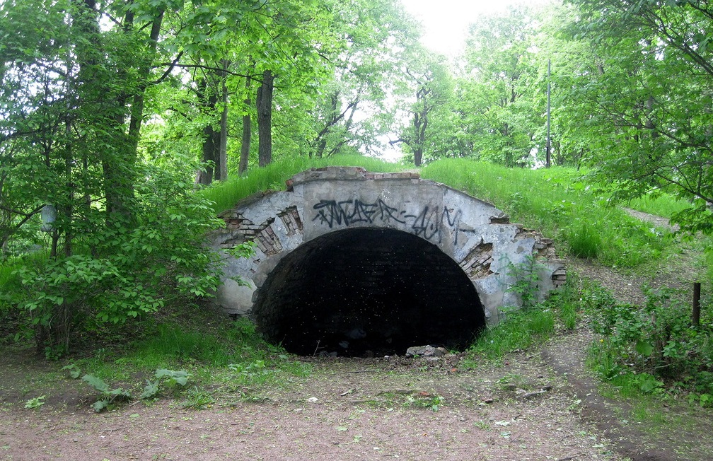 Летний сад в кронштадте фото